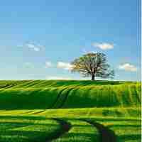 专﻿业﻿交﻿流﻿会​